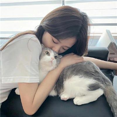 法网追凶第一季